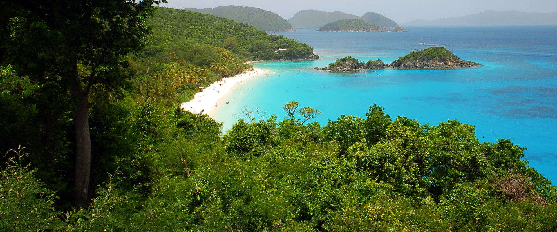 The Best Insect Repellent for Visiting the US Virgin Islands Protect