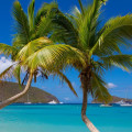 Discover the Best Beaches in the US Virgin Islands